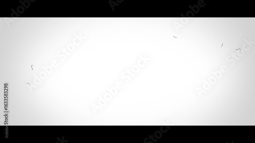 Cinemascope size (2.35:1) 1 Simple film noise (4K)