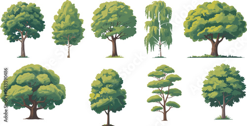 Diverse green trees collection, forest vegetation elements, tree illustration pack, summer landscape trees, park scenery, botanical tree set