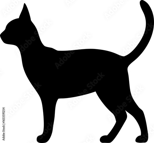 Abyssinian cat silhouette icon in black vector style