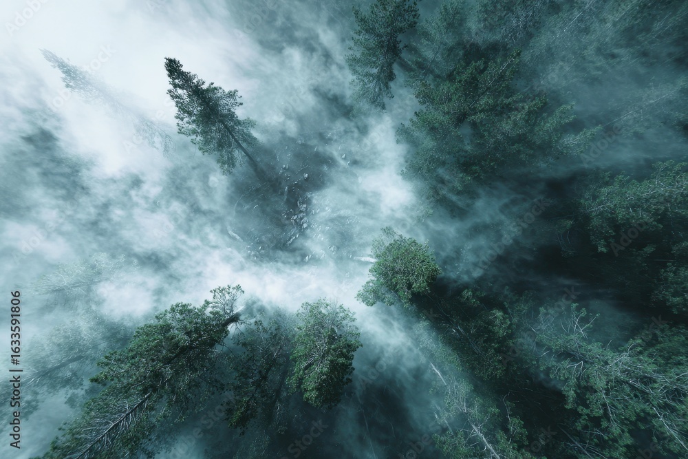 Obraz premium Flying over fog clouds blanketing a dense forest, capturing nature's beauty and serenity from a lofty perspective at sunrise