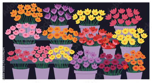 Colorful flowers bloom in pots on shelves against a dark background