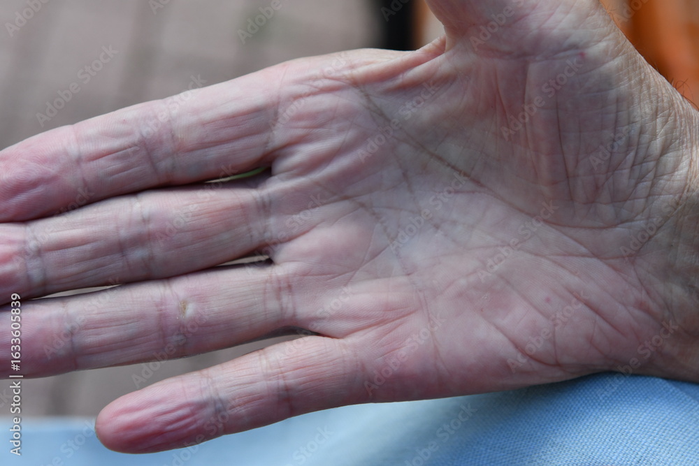 Fototapeta premium old woman hands