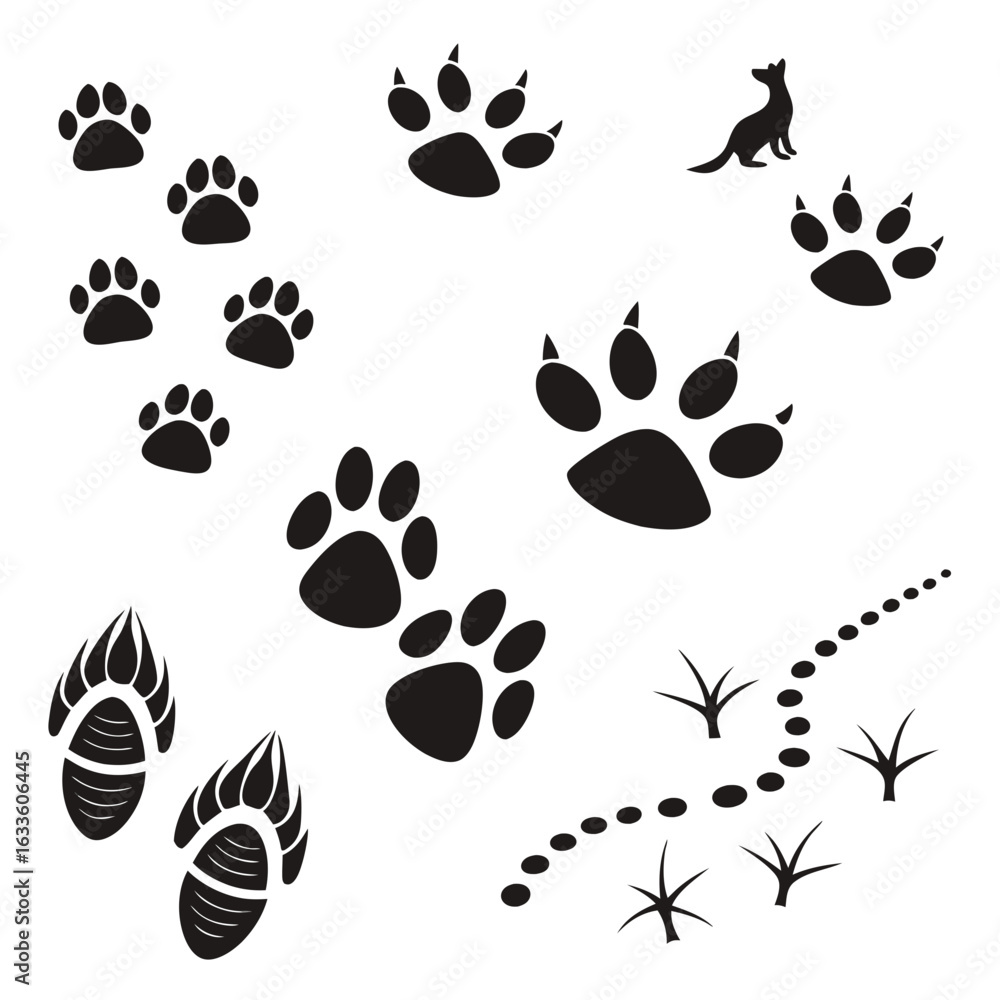 Fototapeta premium Wildlife Footprint Icon Silhouettes – Flat Black Vector Set of Animal Tracks and Footprints 
