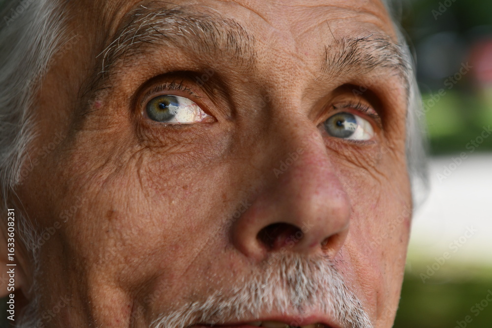 Obraz premium portrait of senior woman