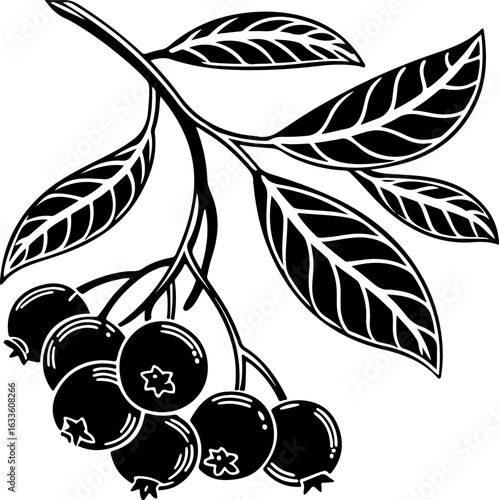 Berry Branch Silhouette Botanical Vector Art