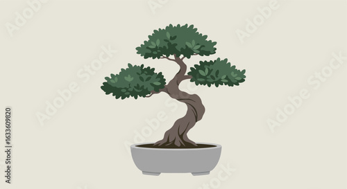 A potted bonsai tree with a winding trunk