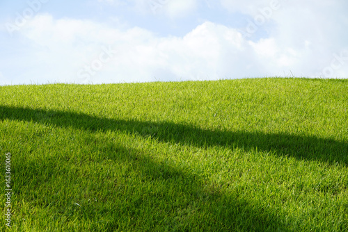 Green grassland with summer blue sky. Background for summer vacation and travel