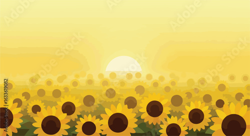 A sunflower field at sunrise with a bright, golden sky