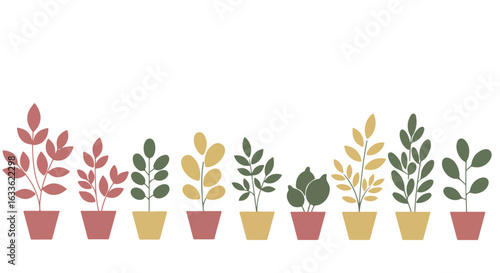 Row of potted plants with various leaf shapes and colors on white