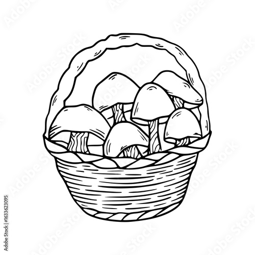 wicker basket full of foraged mushrooms
