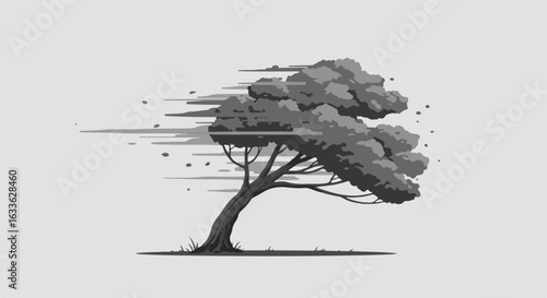 Windy tree