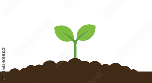 Sprout Small plant with two green leaves emerging from brown soil