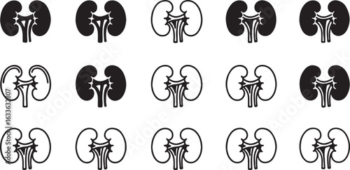 Fifteen stylized kidney icons in black and white with varied outlines and fills organ anatomy