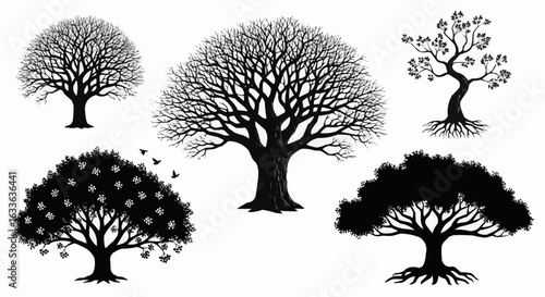 Trees silhouettes. Winter autumn naked forest and park tree and spruces without foliage. Vector isolated images on white background with birds. stock 

