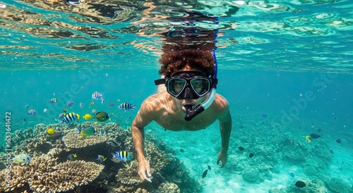 Snorkeler Exploring Colorful Coral Reef Underwater Scenery