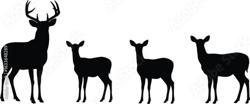Deer family silhouette illustration, stag with antlers, female and young deer, wildlife animal art, nature concept, forest life symbol, wild mammals in group scene.

Art & Illustration