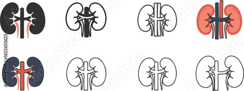 Collection of Stylized Human Kidney Icons in Various Color Schemes and Line Art Styles anatomy medical