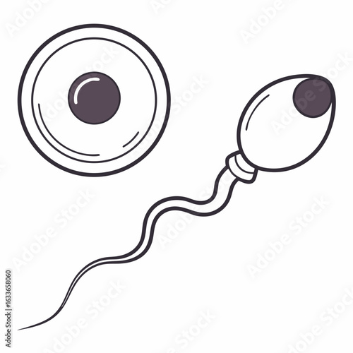 Illustration depicting a sperm cell approaching an egg cell, symbolizing fertilization and the beginning of life.