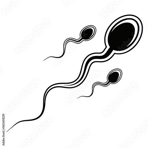 Stylized black and white illustration of human sperm cells, depicting reproduction and biology.
