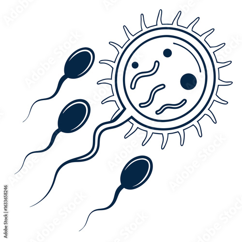 Illustration depicting sperm cells approaching and attempting to fertilize an ovum, a biological process.