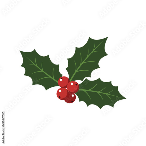 Christmas holly berry sprig vector illustration festive holiday plant winter season decoration