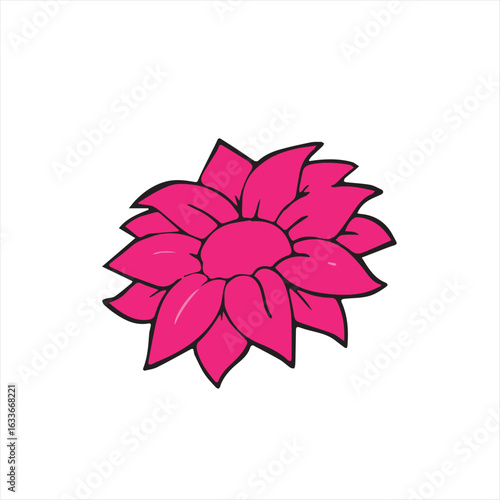 pink flower on white background