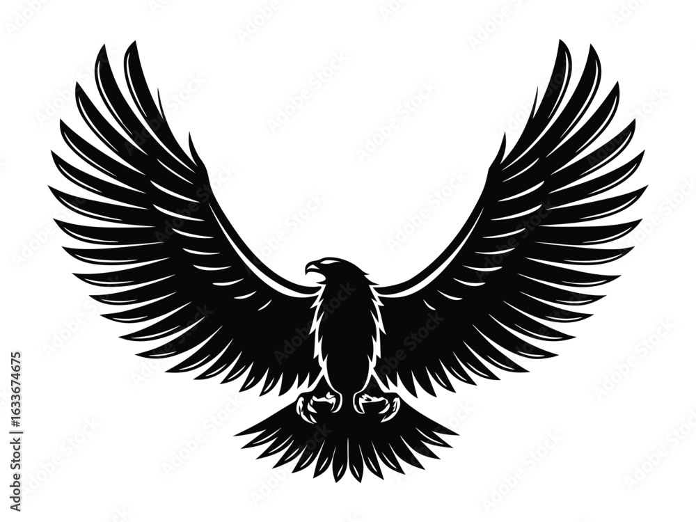 Obraz premium Eagle Wings Spread Silhouette