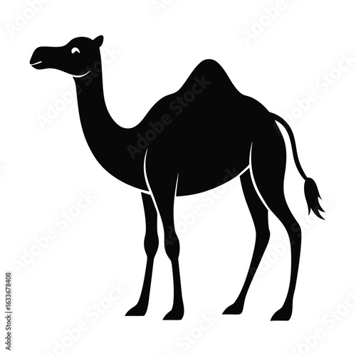 Camel Silhouette Vector on White Background