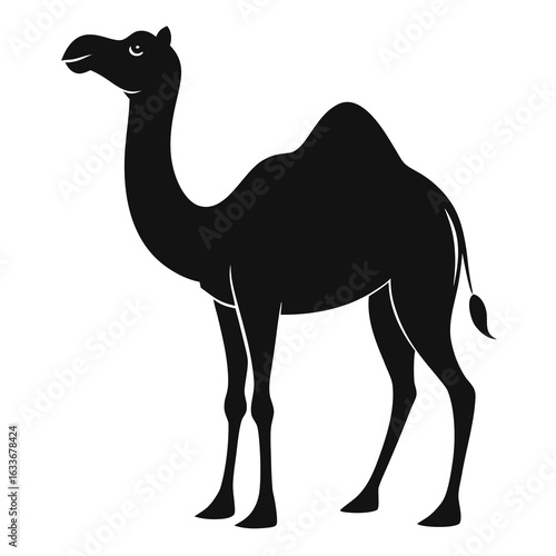 Camel Silhouette Vector on White Background