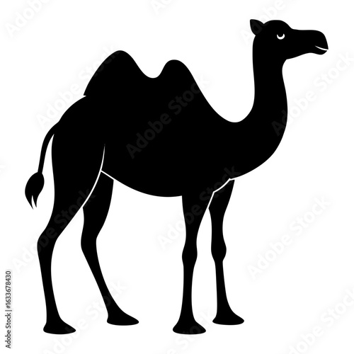 Camel Silhouette Vector on White Background