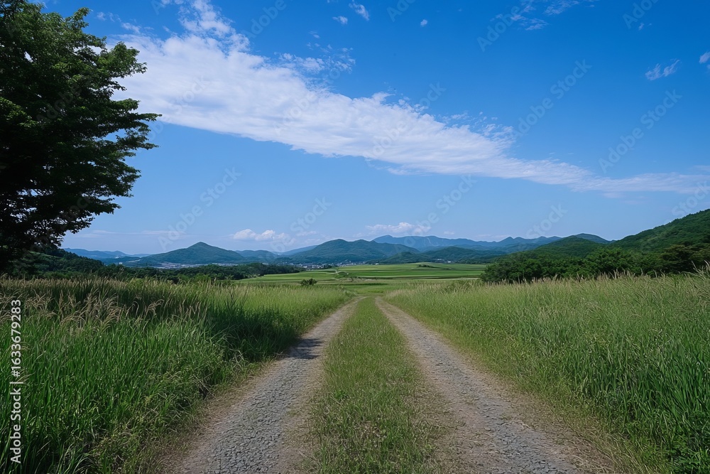 Fototapeta premium Open dirt road through green fields leading to distant hills under a partly cloudy blue sky