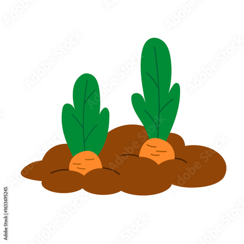 Two cartoon carrots growing in the garden bed. Cute flat vector illustration isolated on white. Organic farming, harvest, healthy eating and gardening concept.