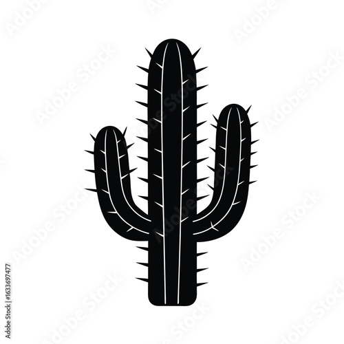 cactus, silhouette, desert, plant, succulent, thorn, green, dry, arid, drought
