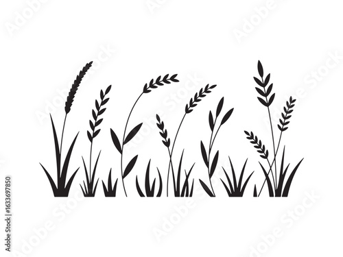 Black wild grass and reeds vector isolated on white background