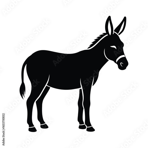 donkey, animal, mammal, hooves, pack, farm, beast, domesticated, bray, ears