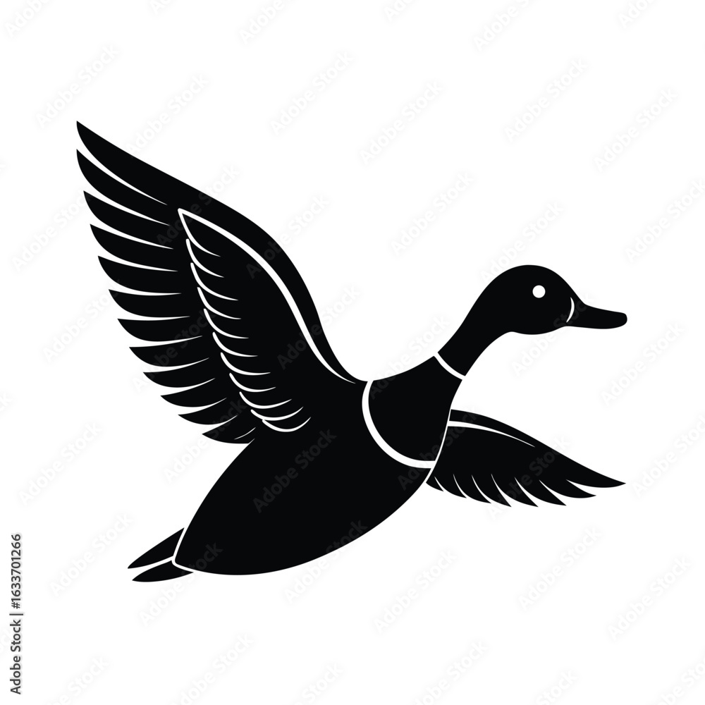 Obraz premium duck, flying, bird, wings, waterfowl, migration, flight, feather, nature, wild, aquatic,
