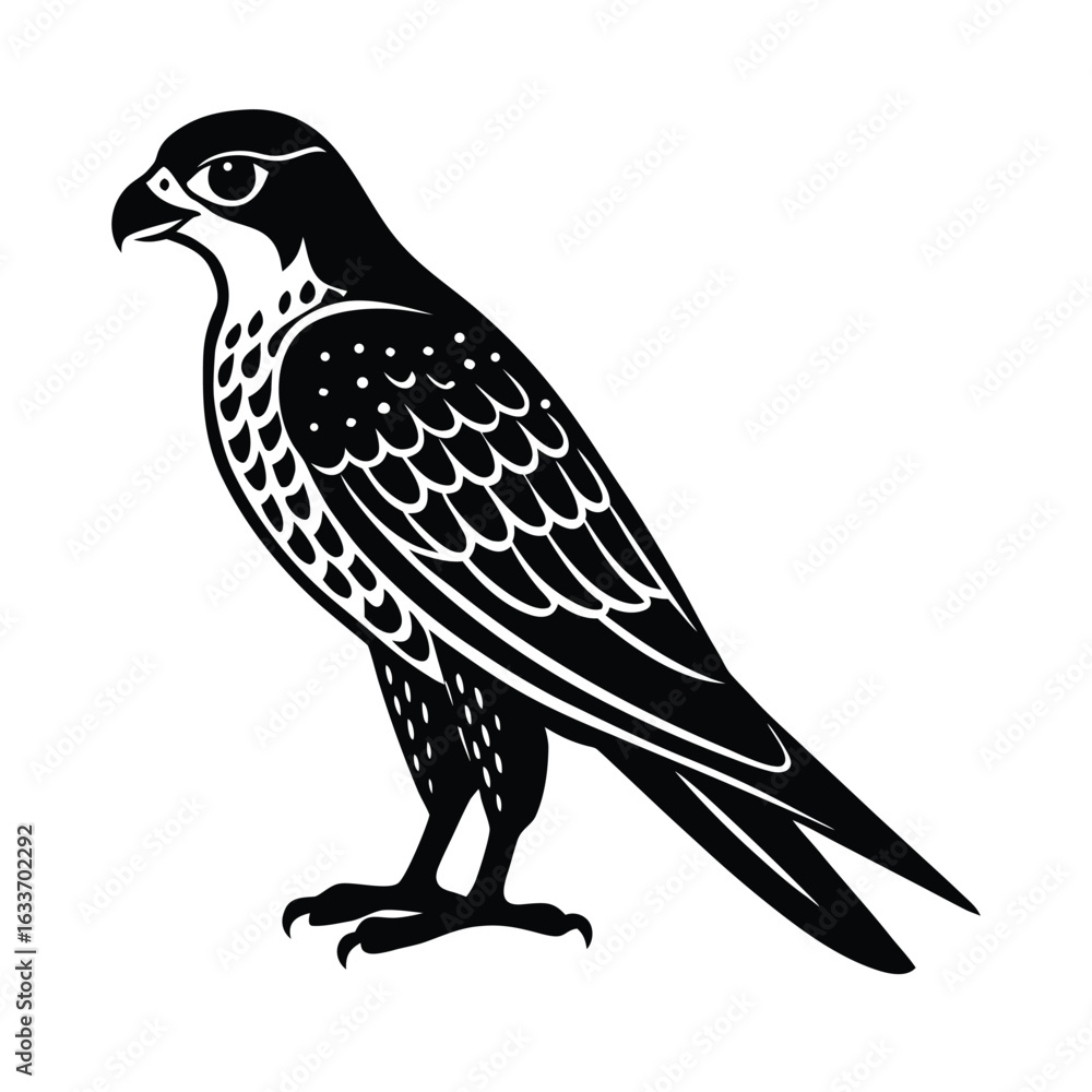 Fototapeta premium falcon, bird, raptor, predator, beak, talon, wing, flight, feather, wildlife, nature, hunter