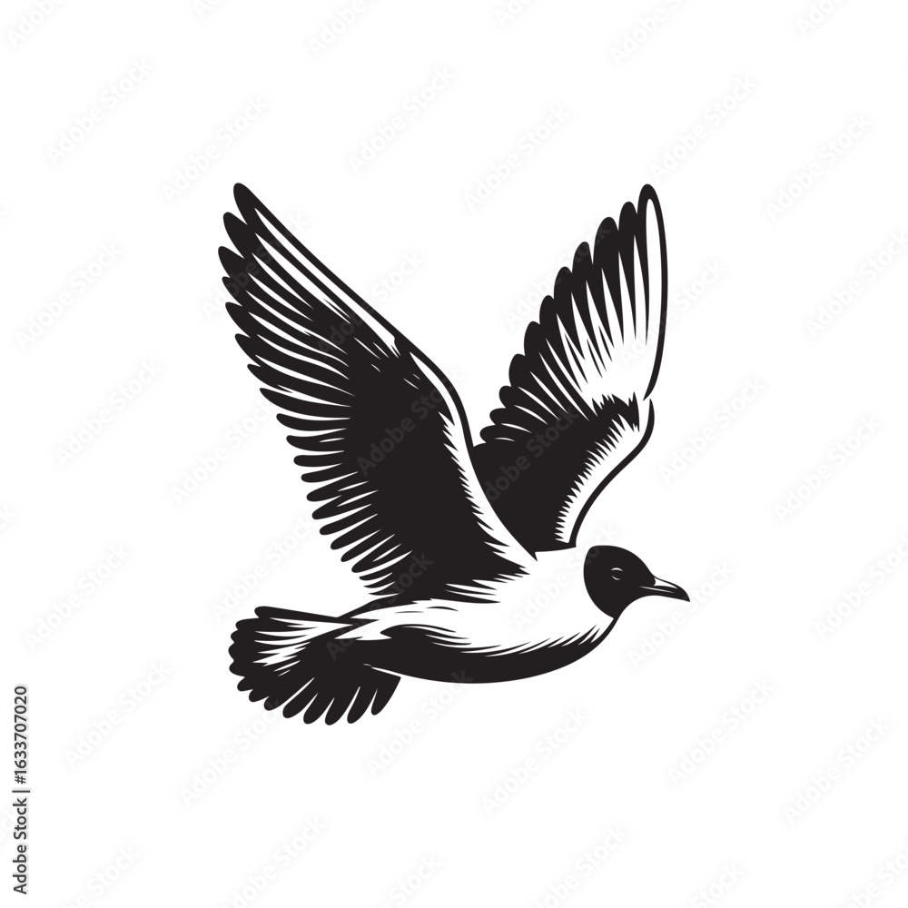 Fototapeta premium Seagull Vector (4).eps