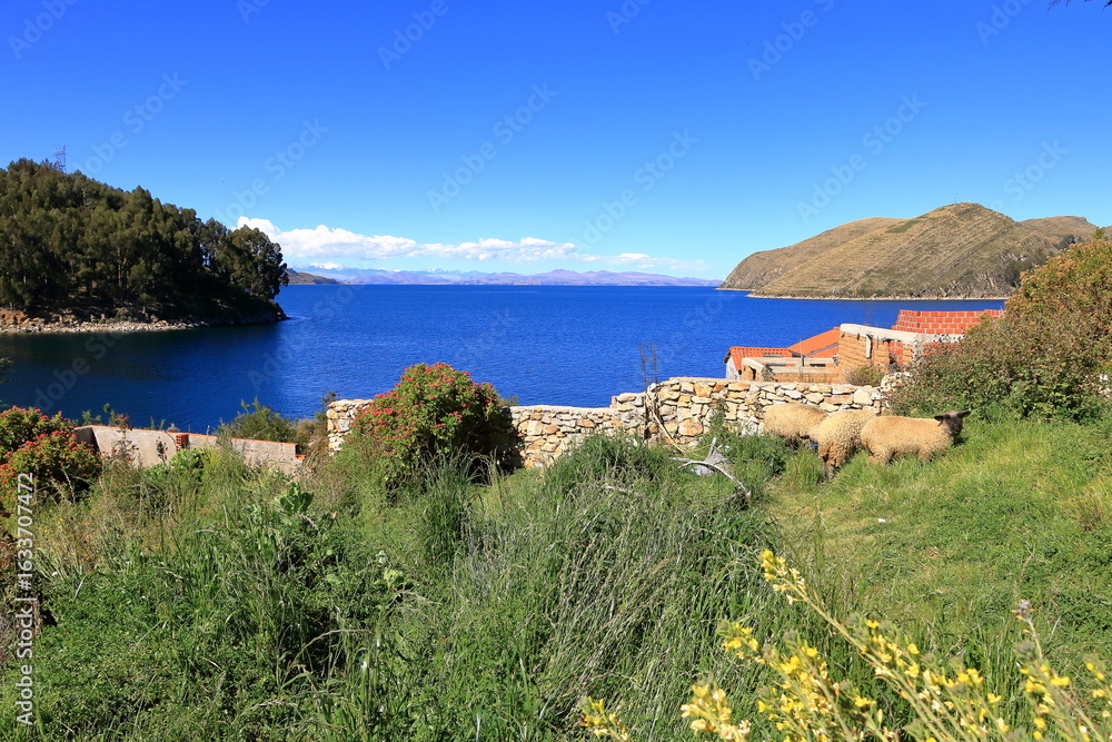 Fototapeta premium landscape of Isla del Sol (Sun Island) with Andes mountains in the background at the Lake Titicaca, Bolivia