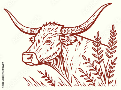 Vintage Line Art Illustration of a Longhorn Cattle Head in a Field . A detailed, vintage-style line drawing of a longhorn cattle head emerging from tall grass.