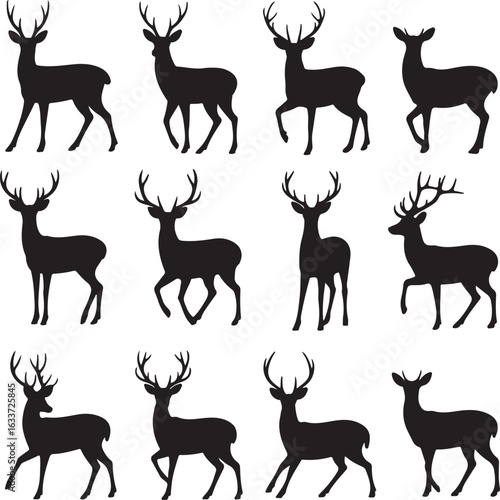 Graphic black silhouettes of wild deers – male, female and roe deer