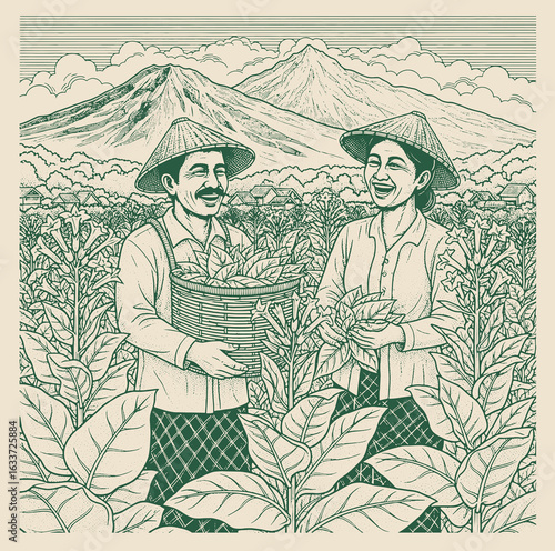 Smiling farmers harvesting tobacco leaves in vast fields, with mountains and clouds in the scenic background.