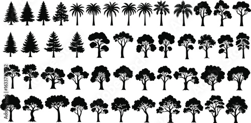 Tree silhouettes collection, pine tree, palm tree, deciduous tree, nature elements, vector graphic, black illustration, design resource, stock image