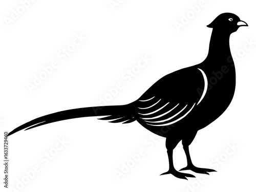 pheasant bird,pheasant black silhouette vector illustration