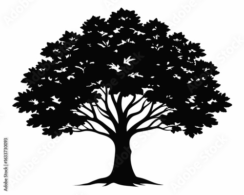 Tree  icon,Tree  black silhouette vector on white background