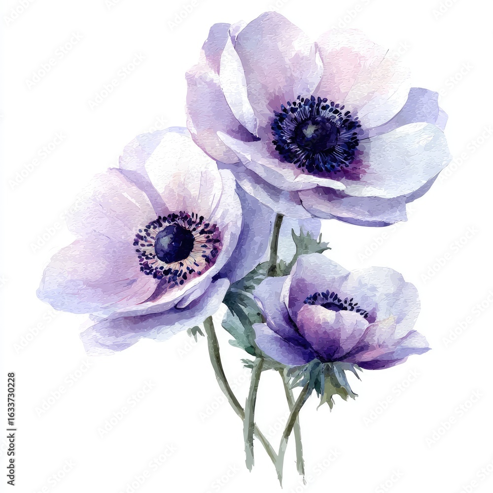 Naklejka premium Delicate lilac anemones in soft watercolor style