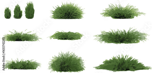Collection of green bushes, various shrubs vector, landscaping foliage design, gardening elements, nature plants, outdoor greenery, botanical illustration, eco art