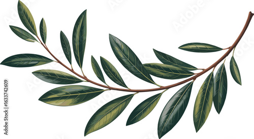 Collection of green bushes, various shrubs vector, landscaping foliage design, gardening elements, nature plants, outdoor greenery, botanical illustration, eco ar