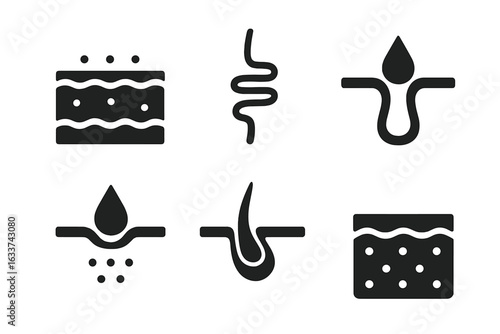 Skin and Sweat Gland Icons Set. Solid Filled Vector Symbols Show Human Skin Layers, Pores, Sebaceous Glands, Hair Follicles, Droplets, Dermis, Epidermis, Absorption, Dermatology Concept