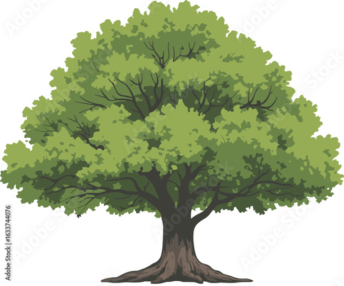 Majestic oak tree illustration, lush green foliage, sturdy trunk, nature vector art, environmental design, realistic drawing, eco-friendly concept, stock image